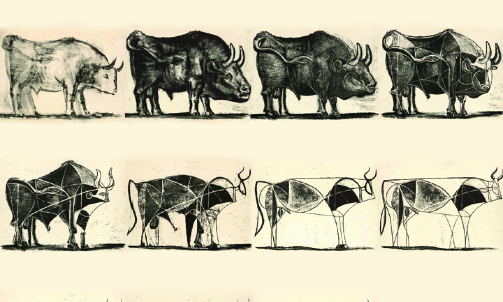 Picasso's bull lithographs, from realistic to a few lines